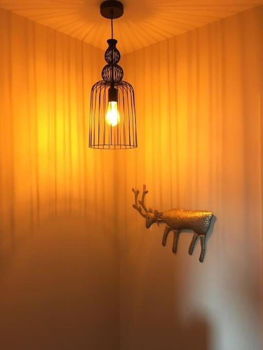 De Charme A Saint Lary - *