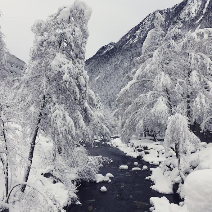 De Charme A Saint Lary - *